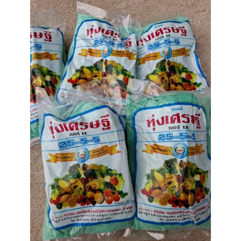 ปุ๋ยเกร็ด 25-5-5 ปุ๋ยเขียว ทุ่งเศรษฐี