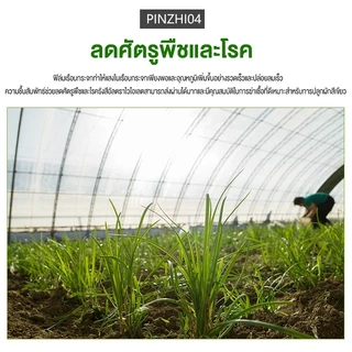 พลาสติกคลุมโรงเรือน กรีนเฮ้าส์ พลาสติกPE หนา 120/150 ไมครอน uv7% ขนาด เหมาะสำหรับงานกันซึมหลังคาเรือนกระจก ทำเฉพาะคุณภาพ