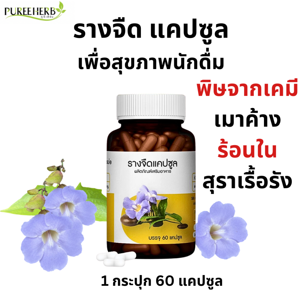 Puree Herb รางจืด แคปซูล ตรา ภูรีเฮิร์บ 1 ขวด 60 แคปซูล ดื่มหนัก เมา เมาค้าง สุรา ร้อนใน