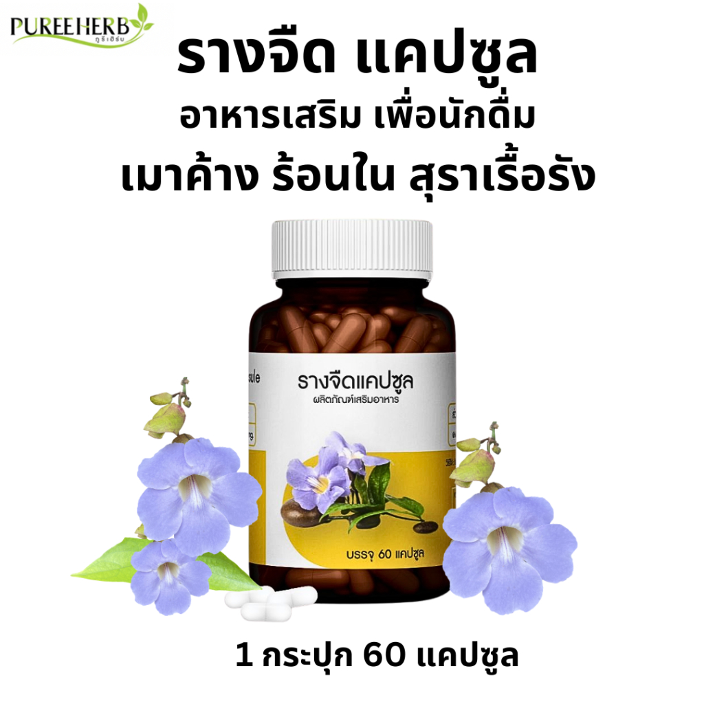 รางจืด แคปซูล ตรา ภูรีเฮิร์บ Puree Herb ดื่มหนัก เมา เมาค้าง สุรา ร้อนใน 1 ขวด 60 แคปซูล