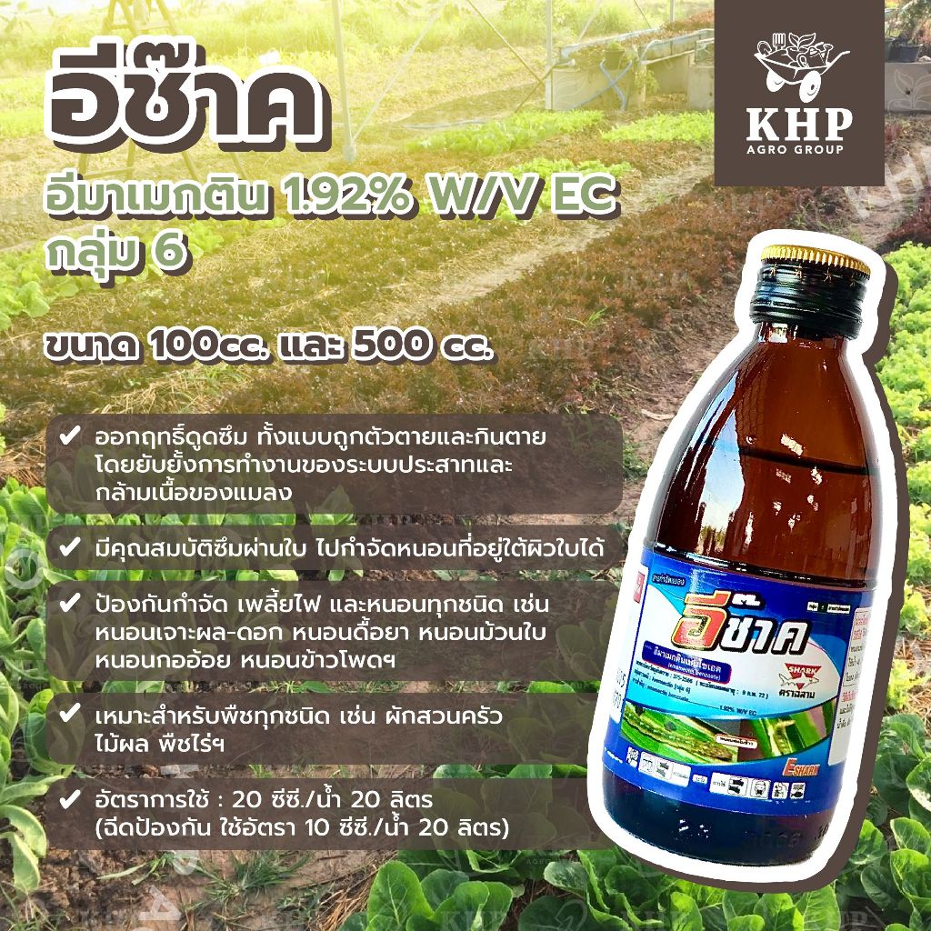 อีช๊าค 100 ml. อีมาเมกติน *สูตรเย็น ป้องกันกำจัด เพลี้ยไฟ และหนอนทุกชนิด ผีเสื้อได้ทุกระยะ คุมไข่ ใช้ซ้ำได้ ดื้อยาน้อย