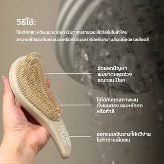 แปรงหวีผม ลดผมพันกัน เหมาะสำหรับผมฟู ใช้ได้เวลาผมเปียก WET DETANGLING HAIR BRUSH