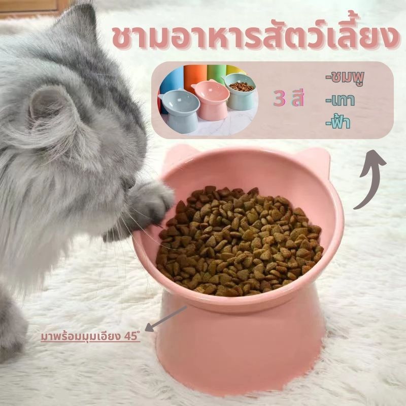 ชามอาหารสัตว์เลี้ยง ชามกันมด แมว ชามอาหารแมว ชามอาหารหมา ทรงเอียง 15 องศา ป้องกันกระดูกสันหลังคอ