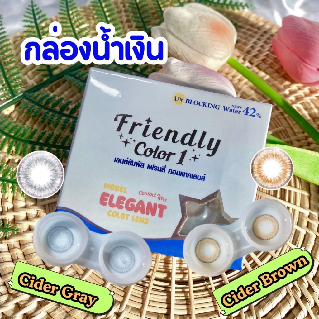 Friendly color1 กล่องน้ำเงิน รุ่น Cider สี Gray/Brown ขนาด 14.2 ขนาดเท่าตา คอนแทคเลนส์รายเดือน มีค่า