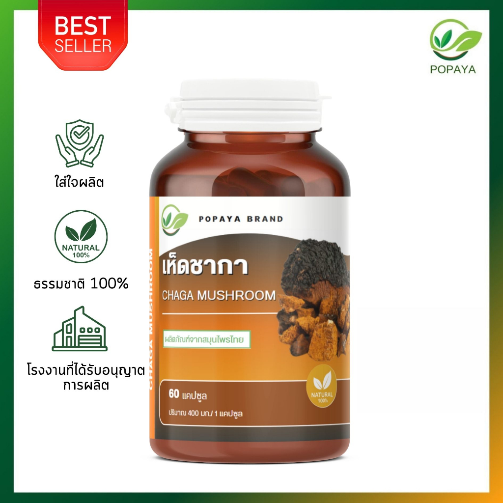 เห็ดชากา 60 แคปซูล/กระปุก  chaga mushroom 100% ช่วยปรับสมดุลของระบบภูมิคุ้มกัน