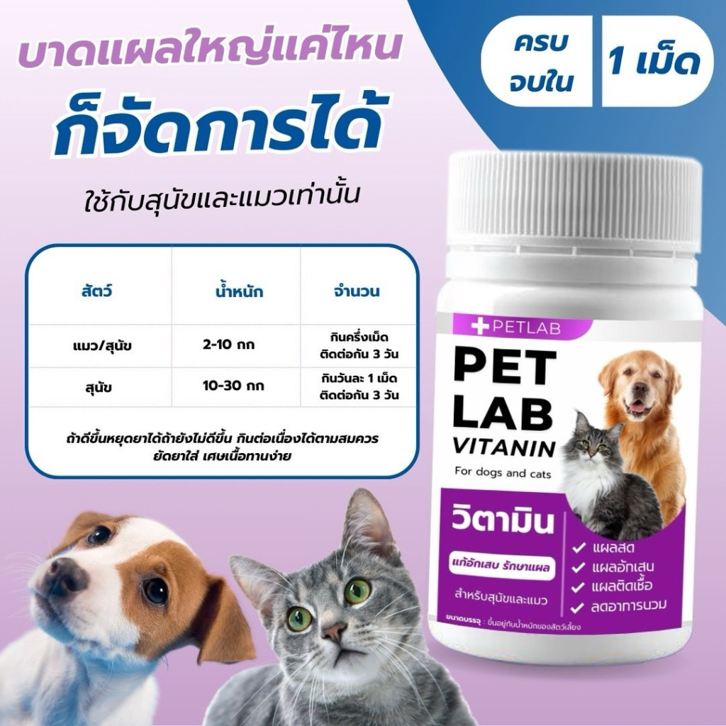 รูปภาพ 4