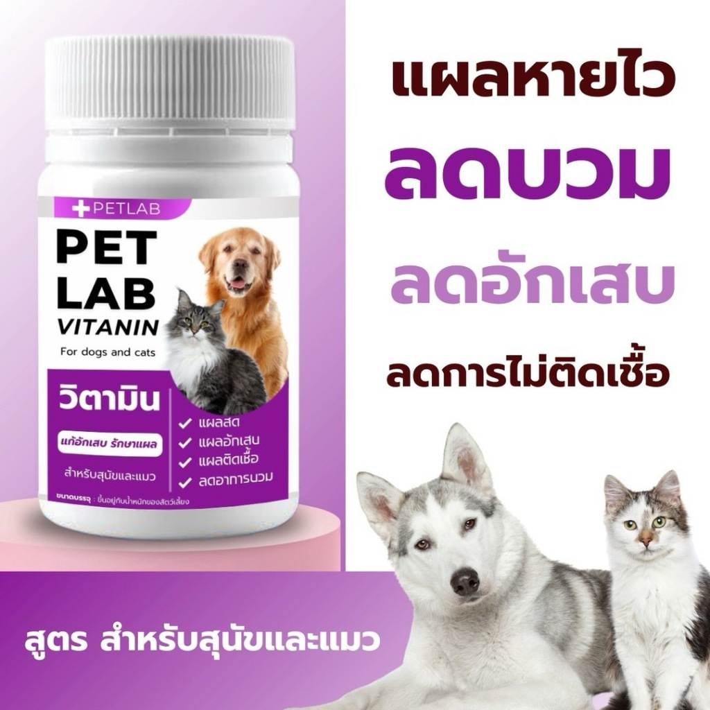 รูปภาพ 3