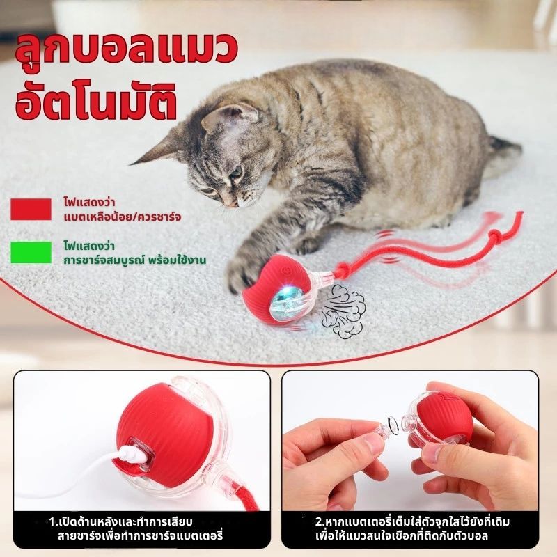 🐾ลูกบอลแมว บอลแมวอัตโนมัติ ชาร์ตแบตได้ ของเล่นแมว สมาร์ทไฟฟ้า  หมุนได้ ของเล่นแมวโต้ตอบ ของใช้แมว