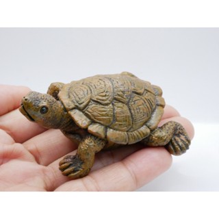 โมเดล เต่าบกจิ๋ว (ราคา/ชิ้น) เต่าจิ๋ว เต่า ของจิ่ว ของตกแต่ง…