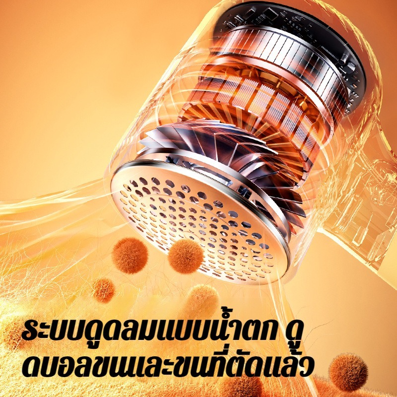 รูปภาพ 6