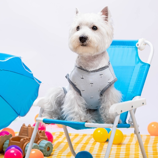 Favchild Sailboat Bodysuit (Sleeve & Sleeveless - มีเเขน/ เเขนกุด)