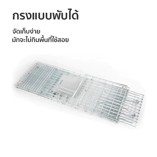 🐱กรงดักแมว วัสดุเหล็กเส้น พับได้ กันสนิม ความไวสูง(ไซส์ M-2XL)ไม่ทําร้ายแมว เหมาะสำหรับจับตัวเงินตัวทอง แมว สุนัข