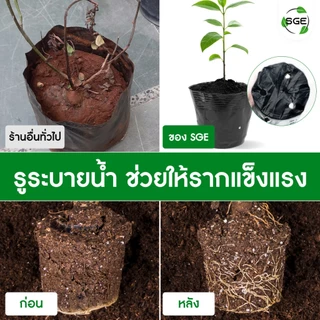 SGE ถุงเพาะชำ ถุงดําปลูกต้นไม้ รุ่น POT-D มีทุกขนาด ส่งไว เนื้อมัน เหนียว หนา ไม่ฉีกขาดง่าย คุณภาพดี