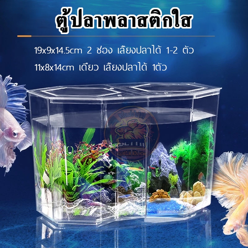 ชุดตู้ปลากัด โหลปลากัด ตู้ปลาพลาสติกใส เหมาะสำหรับเลี้ยงปลากัด พร้อมส่ง

<p>“><center></p>
<h4></h4>
<p><p><font color=
