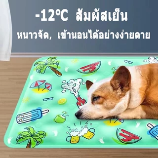 ❄️แผ่นเจลเย็น แมว ที่นอนแมวเย็น เจลเย็นสัตว์เลี้ยง เบาะเย็นแมว ที่นอนเจลเย็น เบาะนอนเย็น หรัที่นอนสัตว์เลี้ยง แผ่นเย็นสุ