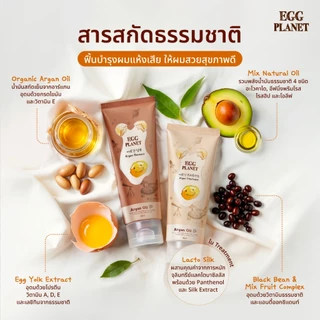 [Special Deal][Best Seller] DAENG GI MEO RI แชมพูไข่ แทงกีโมรี Egg planet Anti-Hair Loss ผมนุ่ม ฟื้นฟูผมแห้งเสีย