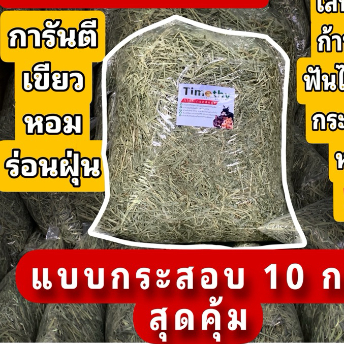 🎉best 1st🎉‼️มีหญ้าทุกเกรดในไทย‼️ ทิมโมธี กระสอบ 5 กก. Timothy คัท1 ใบเยอะ ดอกเยอะ