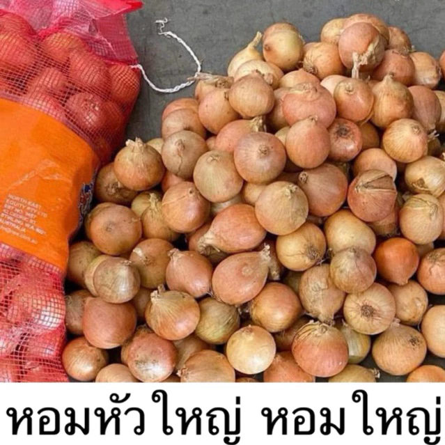 หอมหัวใหญ่ 🧅 หอมใหญ่ หอมไทย หอมหัวใหญ่ไทย หอมใหญ่ผิวสวย หอมเนื้อแน่น หอม