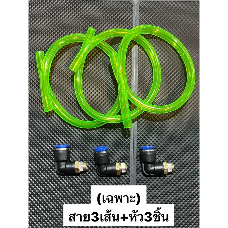 รูปภาพ 6