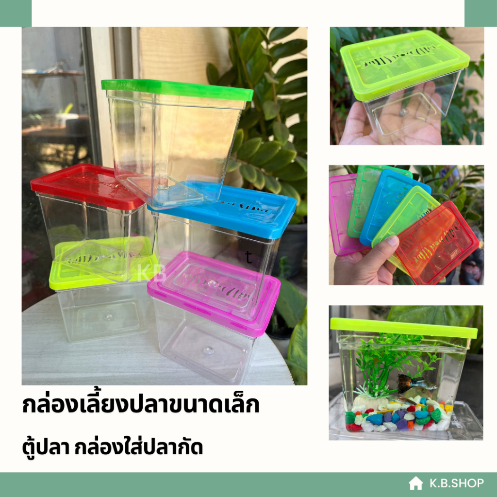 กล่องเลี้ยงปลาขนาดเล็ก ตู้ปลา กล่องใส่ปลากัด  ใส่สัตว์เลี้ยงขนาดเล็ก