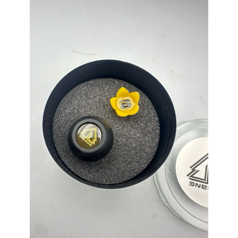 Bigbang earphones and decorations