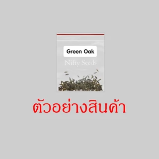 *เมล็ดปี68* เมล็ดพันธุ์ผักสลัด 100-300 เมล็ด 10 บาท การันตีงอกดีมาก เมล็ดผัก ผักสลัด