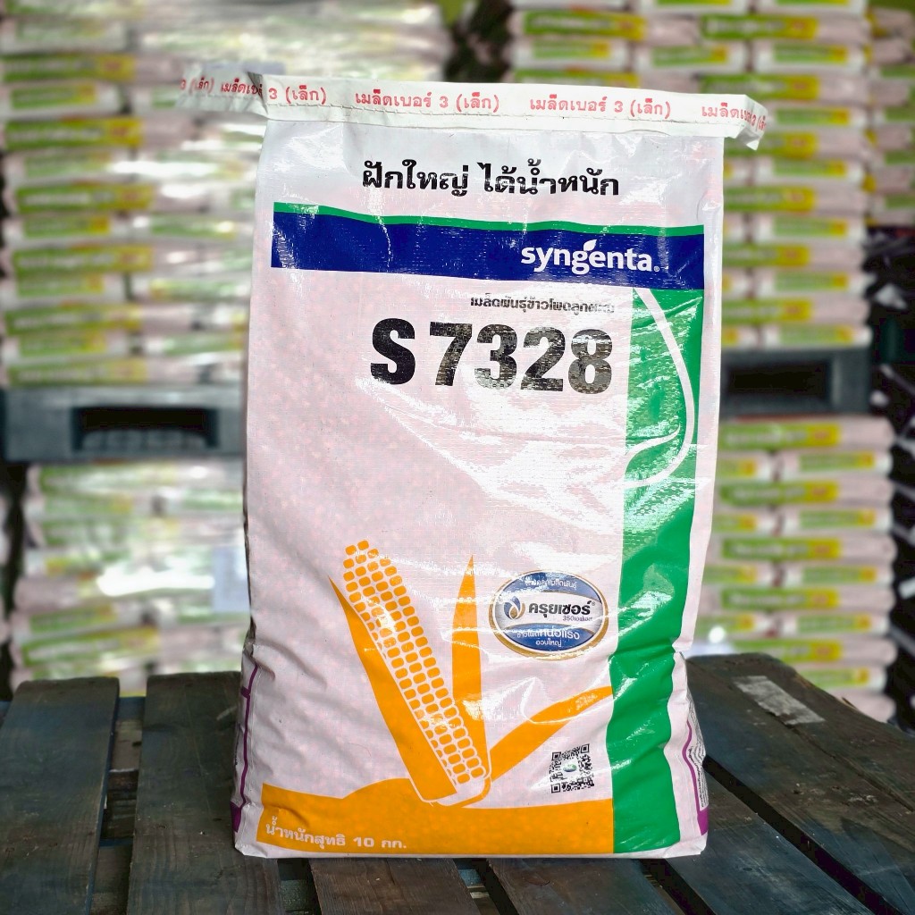 ข้าวโพดเลี้ยงสัตว์ เอ็นเค s 7328  3 หุน 10 kg. (ข้าวโพด เมล็ดพันธุ์ผัก เมล็ดพันธุ์พืช )