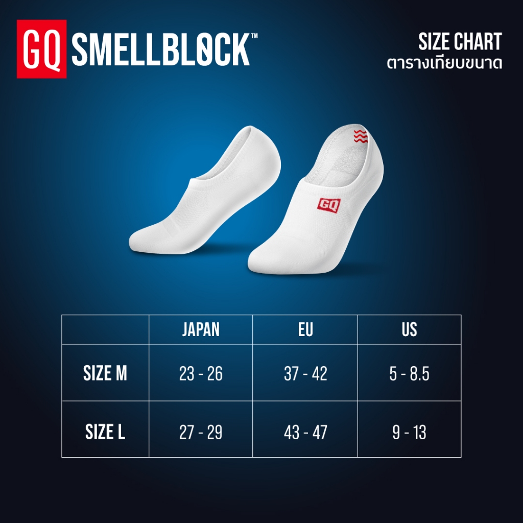 รูปภาพ 8