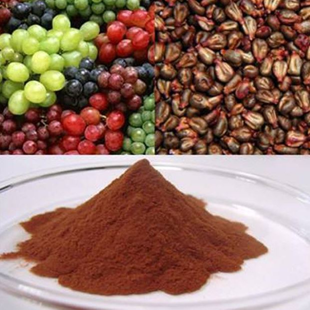 สารสกัด ผงเมล็ดองุ่น 25g [foodgrade] 001083