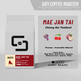 (ออกใบกำกับภาษีได้ !!) เมล็ดกาแฟแม่จันใต้ คั่วอ่อน โรงคั่วกาแฟสติ คอฟฟี่ โรสเตอร์