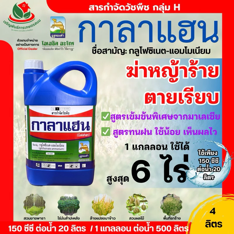 กาลาแฮน [ 4 ลิตร ] สูตรทนฝน ใช้เพียง150ซีซีต่อ 20 ลิตร กลูโฟซิเนต เนื้อยามาเลเซีย ตราอูฐทองคำ ยาเกรดดี ใช้ปริมาณต่ำ