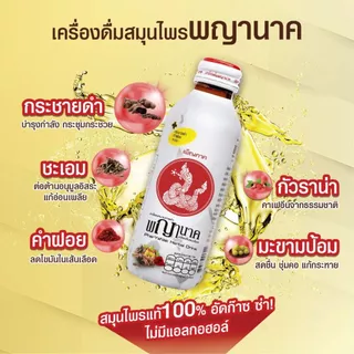 เครื่องดื่มสมุนไพรพญานาค 150 ml. (48 ขวด) เพ็ญภาค กระชายดำ หวานน้อย (Penpark Pharyanak Herbal Drink)