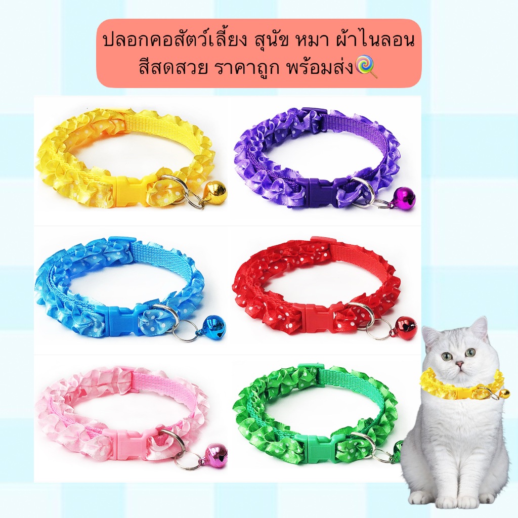 MG-555 ปลอกคอสัตว์เลี้ยง สุนัข หมา ผ้าไนลอน สีสดสวย ราคาถูก พร้อมส่ง 🍭