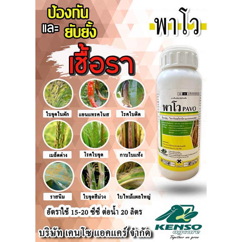 พาโว 500 ซีซี สารไพราโคลสโตรบิน กำจัดราน้ำค้าง เมล็ดด่าง เน่าคอรวง โรคโคนเน่า โรคกุ้งแห้งในพริก กาบใบแห้ง โรคใบจุด