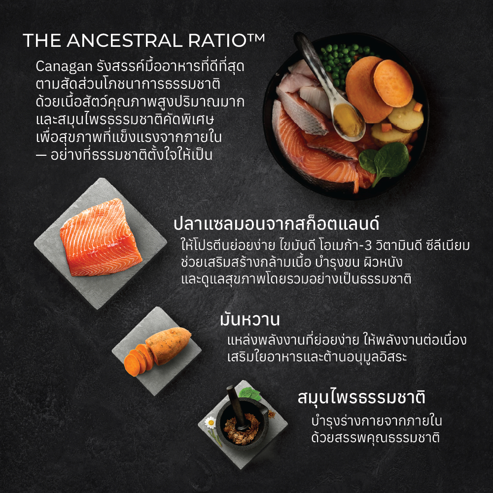 Canagan คานาแกน อาหารสุนัข สูตร ปลา สคอททิชแซลมอน ขนาด 6 รูปที่ 2