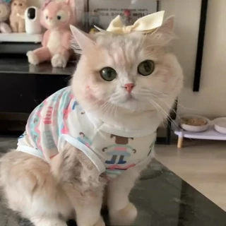 เสื้อผ้าสัตว์เลี้ยง เสื้อกั๊กกันแดด ระบายอากาศ สวมใส่สบาย แฟชั่นฤดูร้อน สําหรับสุนัข แมว