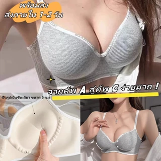 CherryLace 🤍เต้านมขนาดเล็ก Push-Up Bra บราไร้โครง บราตัวอักษร ป้องกันการหย่อนคล้อย ฟองน้ำ 5 ซม.
