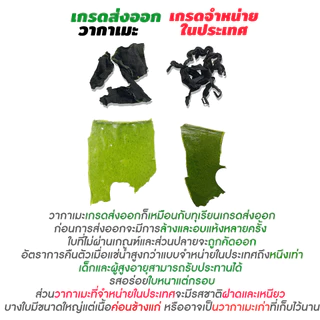 แท้💯สาหร่ายวากาเมะเกรดส่งออก แบบพรีเมี่ยม 250g เกรดคล้ายตี๋น้อย วากาเมะใหม่ต้นฤดู พองตัวได้15เท่า Dried Wakame Seaw