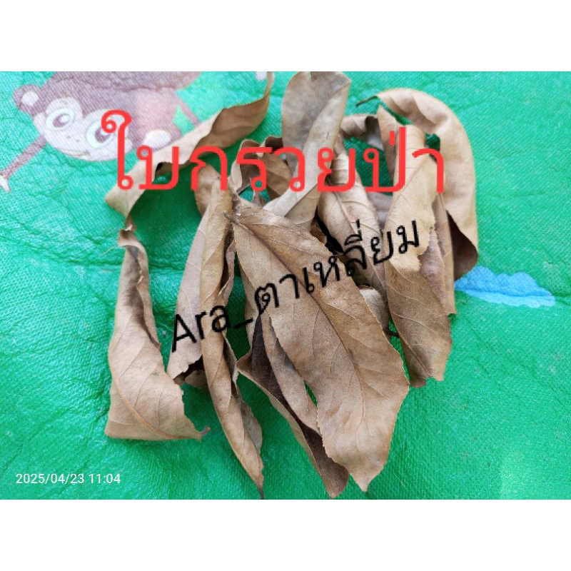 ใบกรวยป่า ออร์แกนิก ใบแห้ง( ..70..กรัม)  สำหรับหมักปลากัด เก็บจากป่าธรรมชาติ