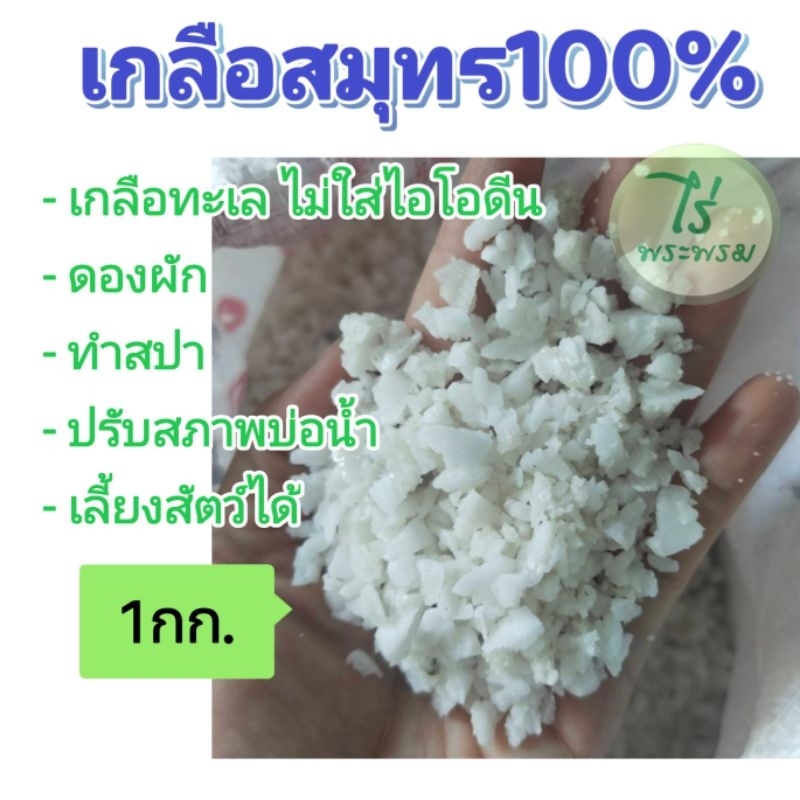 เกลือดองผัก​ เกลือทำปลาร้า​ปลาเค็ม​ เกลือเม็ดทะเลกลาง 1กก.