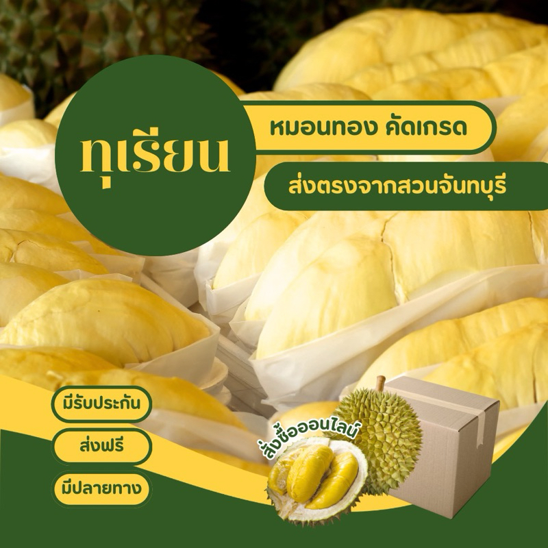 ส่งด่วนสุด ทุเรียนหมอนทอง หมอนทองสาลิกา ของแท้ 100% ออแกรนิค  เลือกน้ำหนักได้ ส่งฟรี มีรับประกัน เก็บเงินปลายทาง