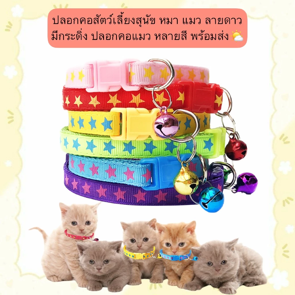 AL-556 ปลอกคอสัตว์เลี้ยงสุนัข หมา แมว ลายดาว มีกระดิ่ง ปลอกคอแมว หลายสี พร้อมส่ง🌤️