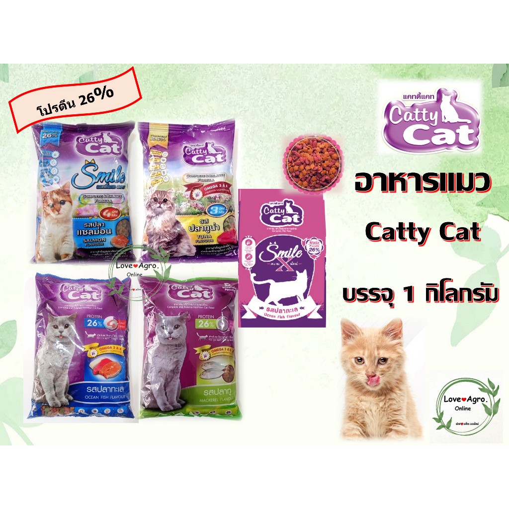 อาหารแมวราคาถูก Catty Cat  แคทตี้แคท แบบเม็ด บรรจุ 1 กิโลกรัม