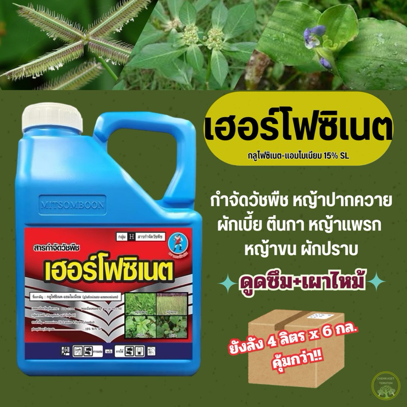 (ยกลัง*6)เฮอร์โฟซิเนต4ลิตร-มิตรสมบูรณ์ กลูโฟซิเนต15%SL แกลลอนฟ้า หญ้าปากควาย สาบเสือ หญ้าตีนกา ตีนนก