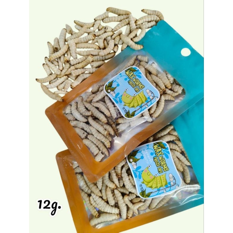 Waxworms Freeze Dried 12g. หนอนเเว็กฟรีสดราย อาหารสัตว์เลี้ยง ชูก้าร์ไกลเดอร์