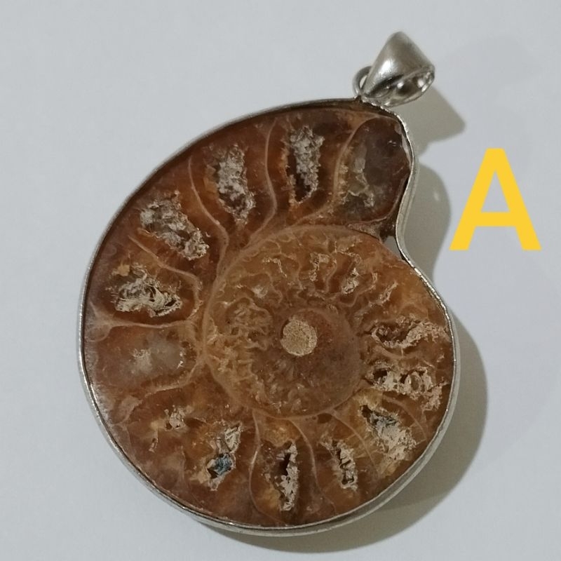 Ammonite pendant จี้ หอย แอมโมไนต์ หอยล้านปี จี้หอยแอมโมไนต์ ครึ่งตัว ผ่าครึ่ง ผ่าครึ่งตัว คตหอย ใส่พกติดตัว เพิ่มพลัง