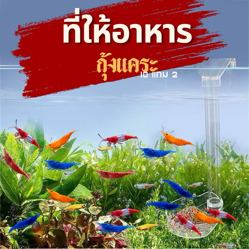 ที่ให้อาหารกุ้งแคระ🦐🥇🇹🇭