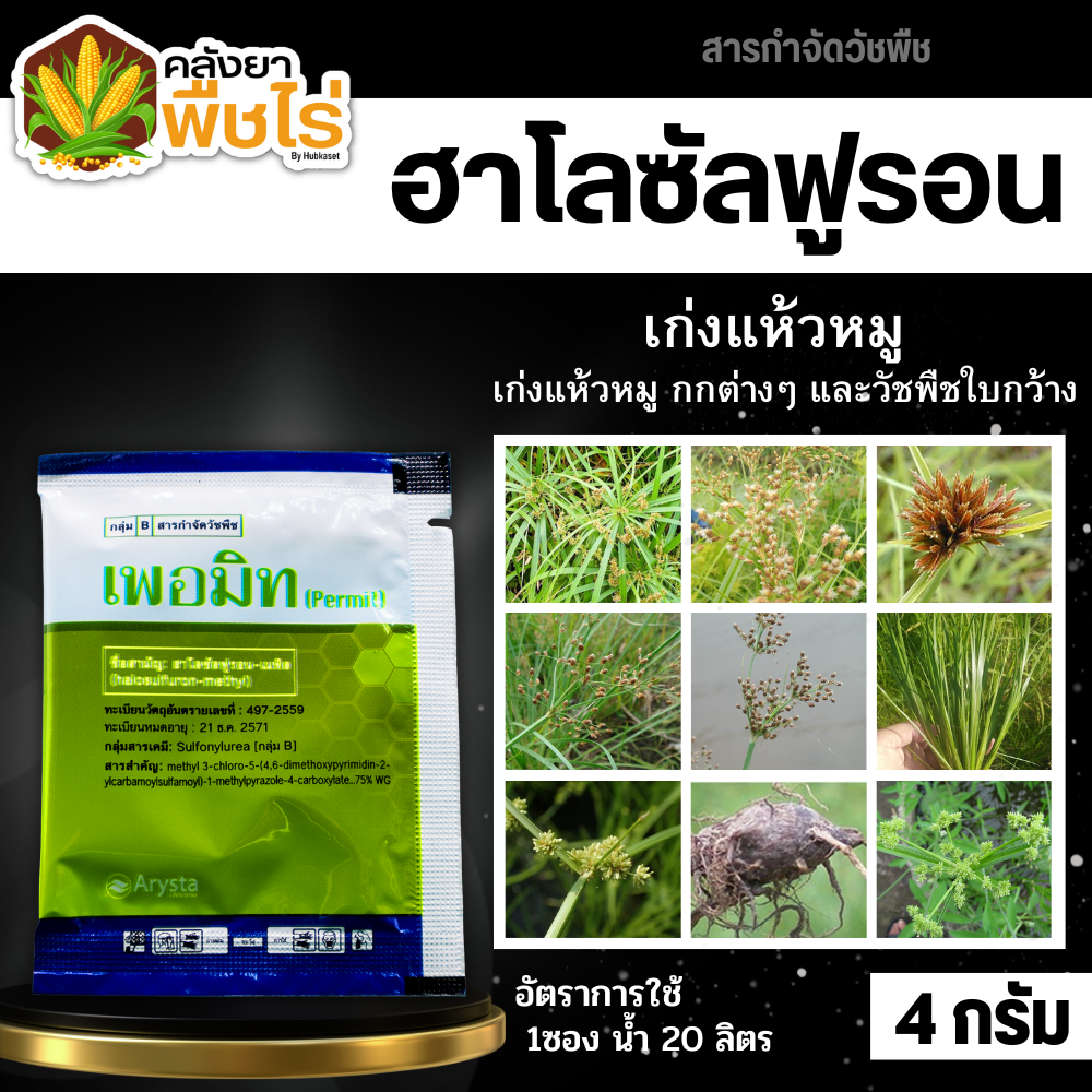 🌽 เพอมิท (ฮาโลซัลฟูรอน-เมทิล) 4กรัม ใช้หลังวัชพืชงอกในอ้อย เพื่อกำจัดวัชพืชประเภทกก เช่น แห้วหมู