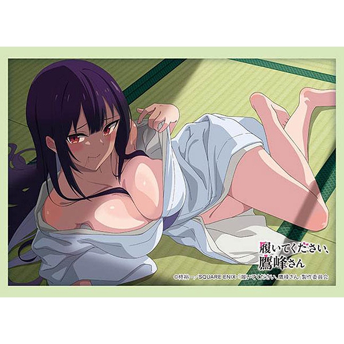 Bushiroad Sleeve HG Vol.4839 TV Anime Please Put Them On, Takamine-san [Takane Takamine] Kimono Ver.