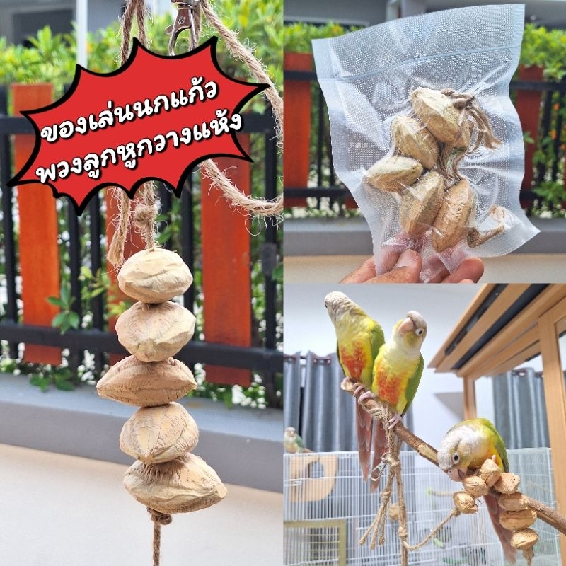 ของเล่นนก พวงลูกหูกวางแห้ง มีประโยชน์ ปลอดภัย แทะเล่นสนุก ลดอาการนกเสียงดัง